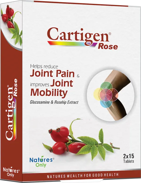 strongest supplement for joint pain